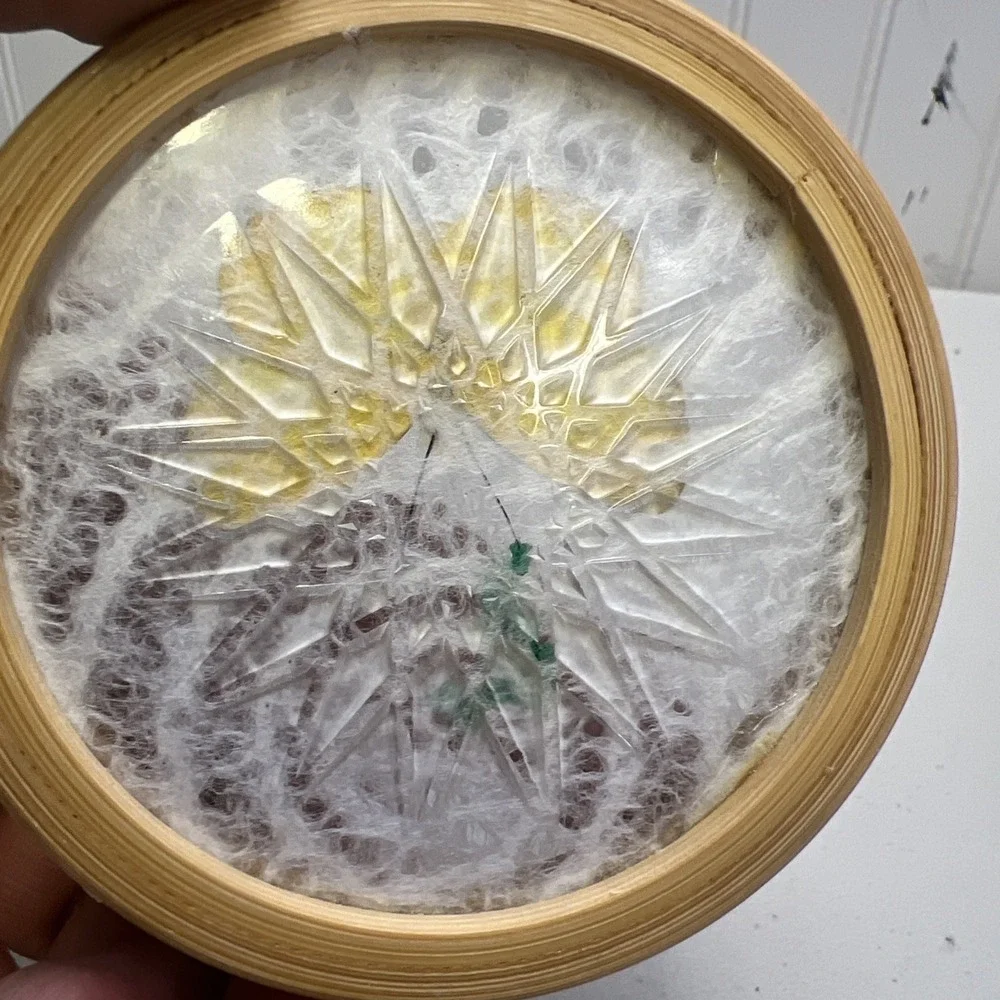 Set Of 2 Vintage Bamboo Acrylic Coaster w/ Real Pressed Butterfly